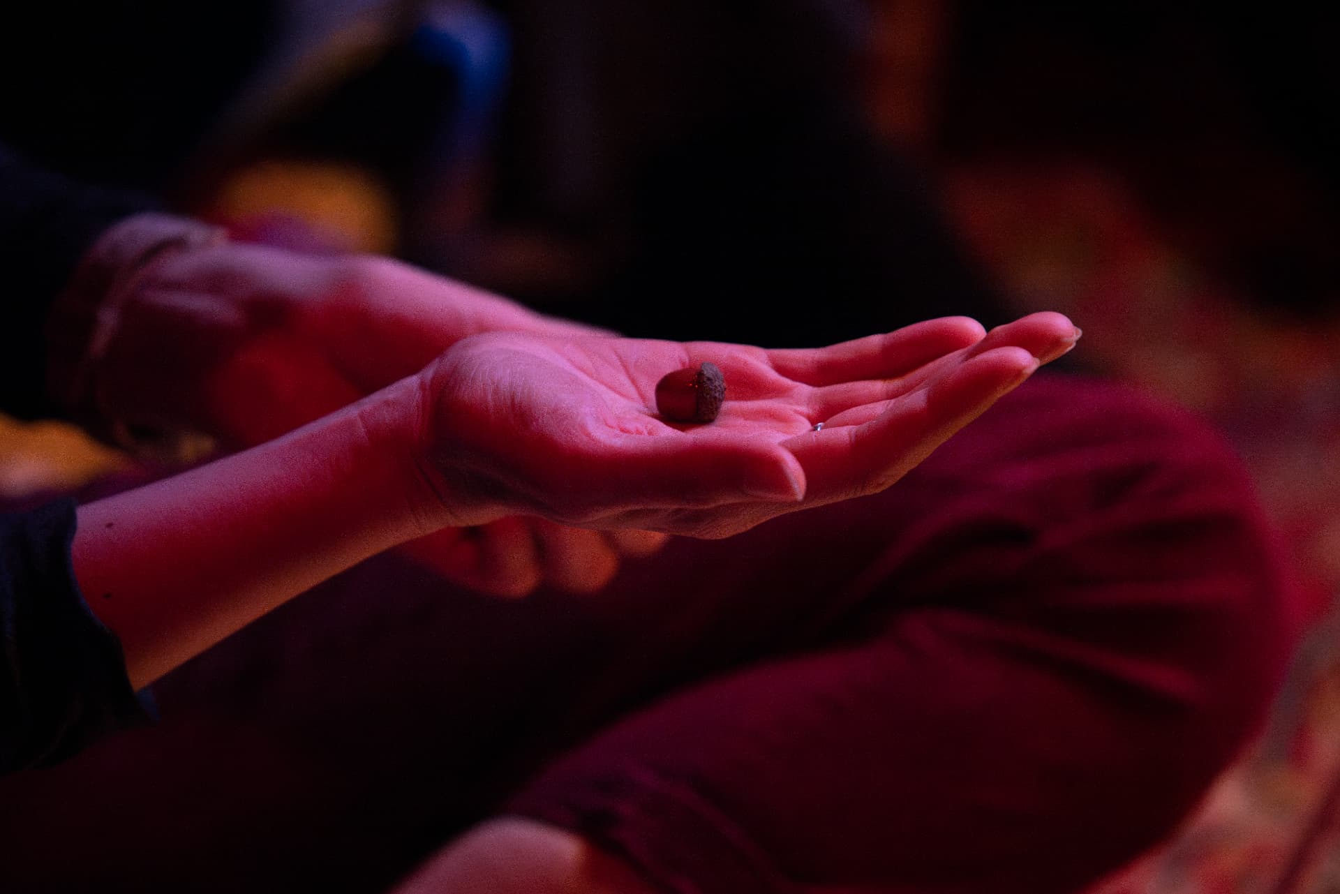 The Circle of Grieving Voices, collective vocal grief workshop